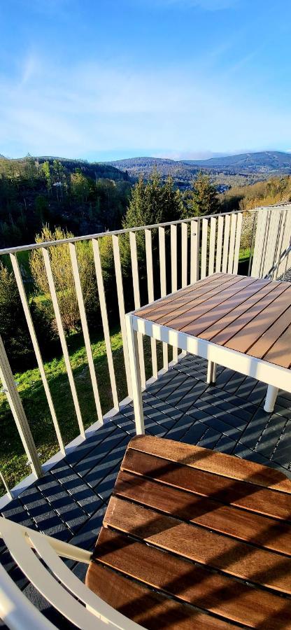 Ferienwohnung Loft Rezidence Vista Rokytnice nad Jizerou Exterior foto